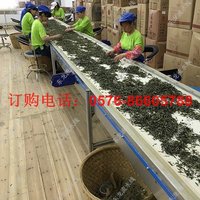 茶叶分拣线