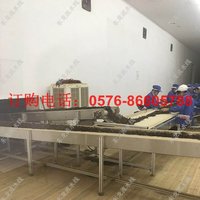 茶叶人工挑拣线